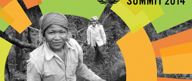Climate-Summit-2014 Poster